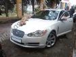 Свадебная машина белый Ягуар - Jaguar XF - авто на свадьбу 